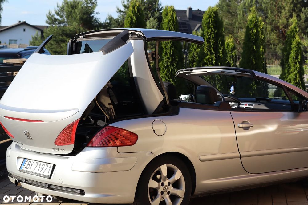 Peugeot 307 2.0 XS - 13