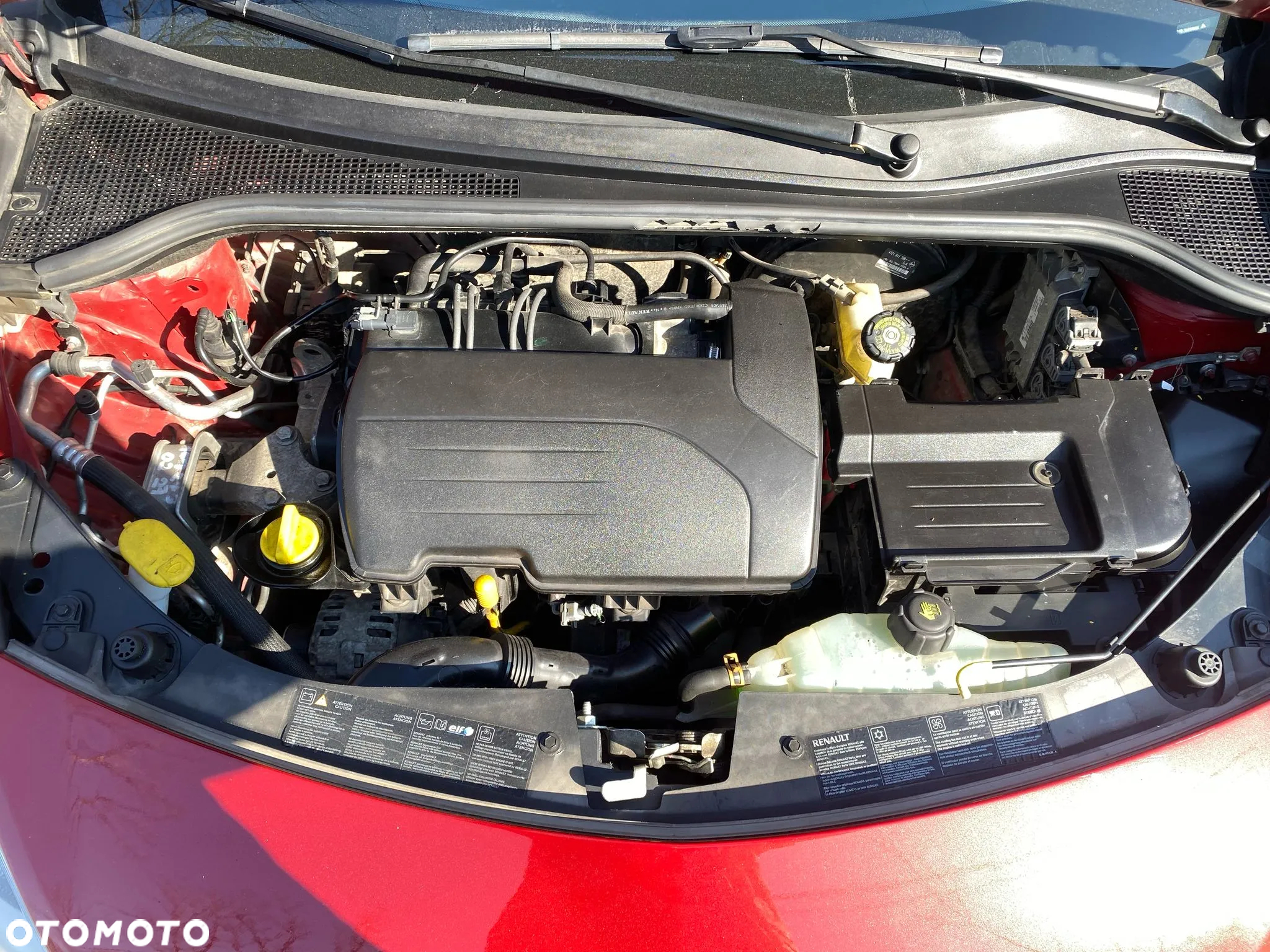 Renault Clio - 24