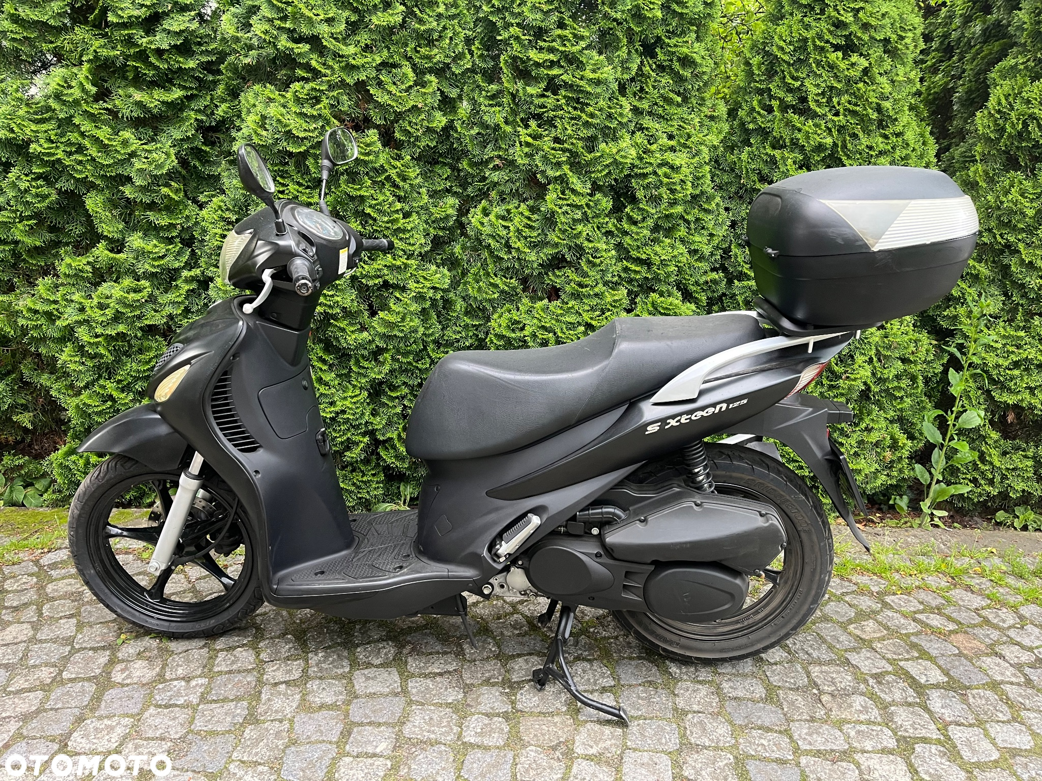 Suzuki Inny - 11