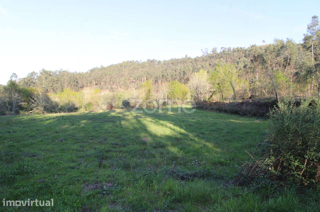 Terreno com 5.953 m² em Armil, Fafe – Zona Verde - Grande imagem: 3/24
