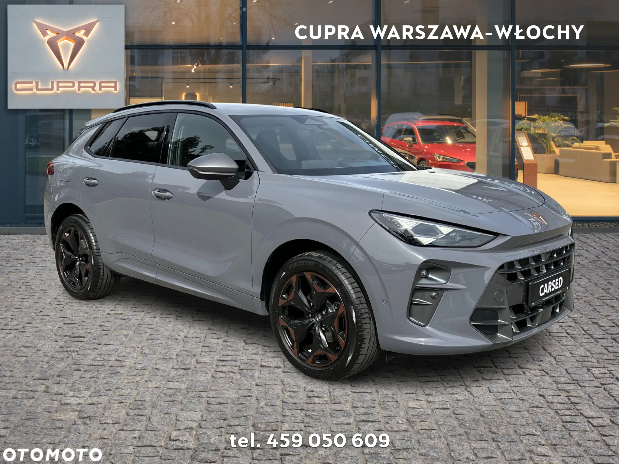 Cupra Terramar - 7