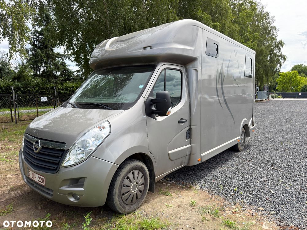 Opel MOVANO Koniowóz - 4
