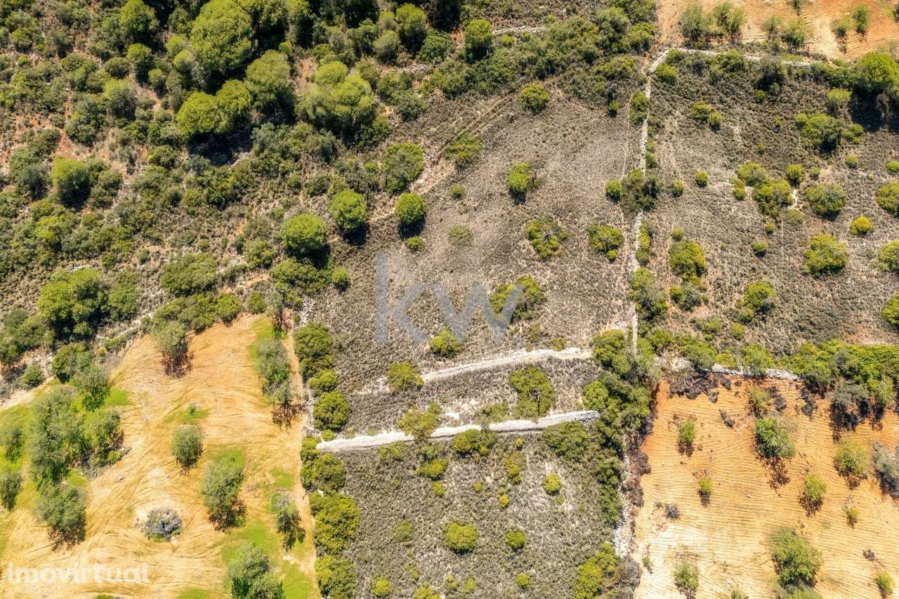 Terreno rustico de 3000m2, com vista para o mar e serra nos Caliços - - Grande imagem: 5/17