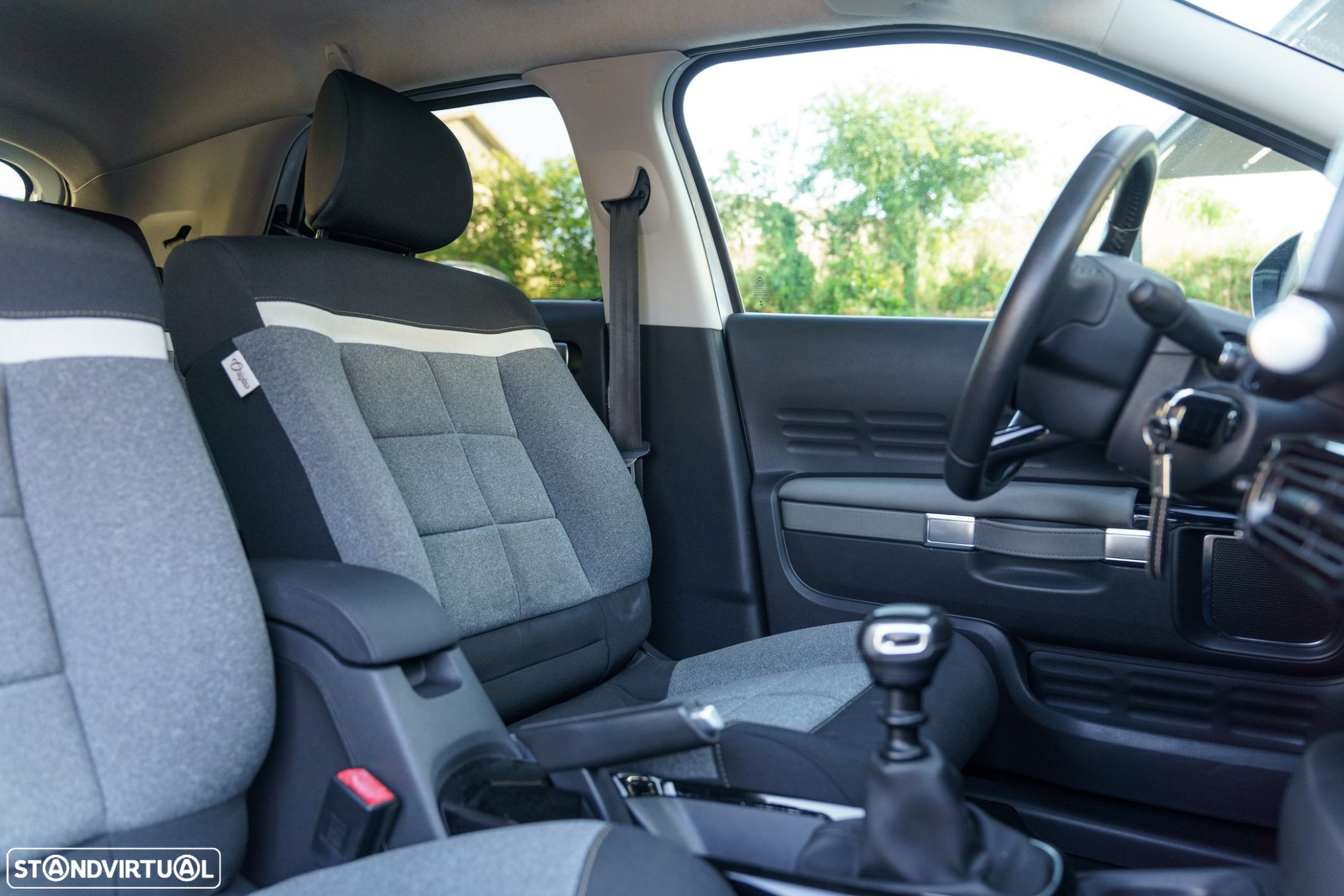Citroën C4 Cactus 1.2 PureTech Origins - 31