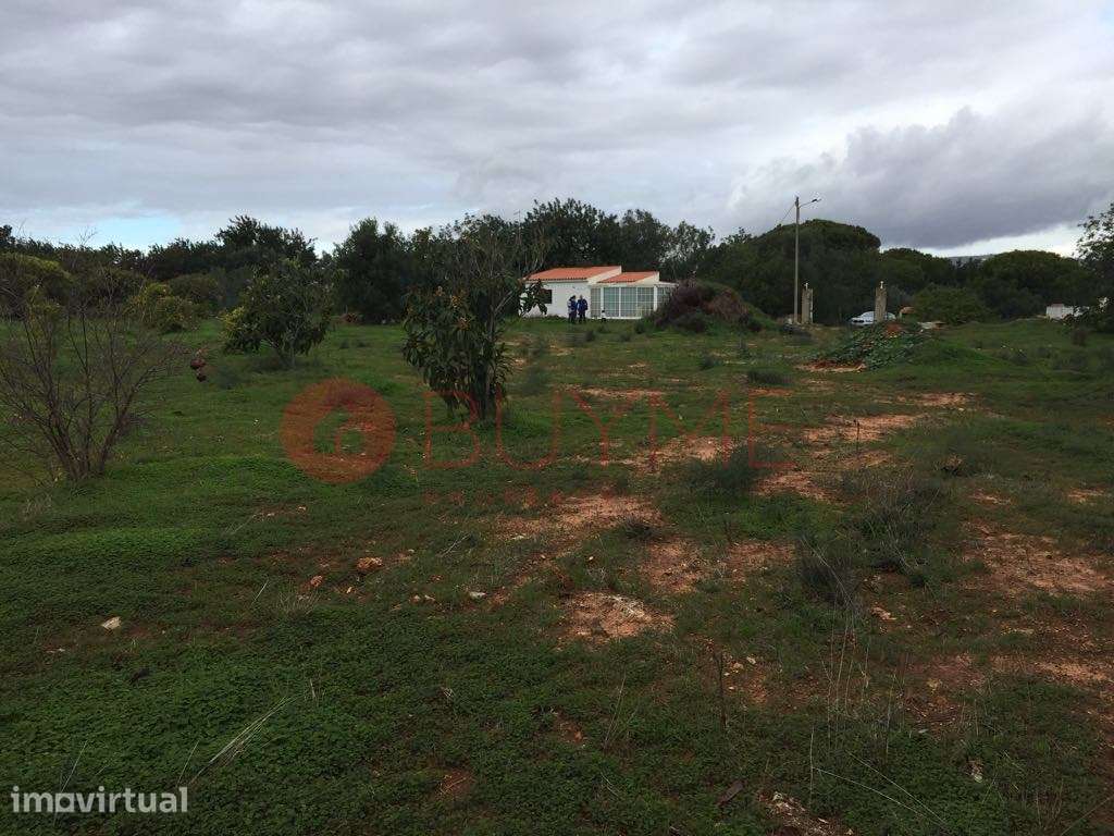 Terreno Rústico Vedado com Anexo em Vale Judeu, Loulé - Grande imagem: 2/5