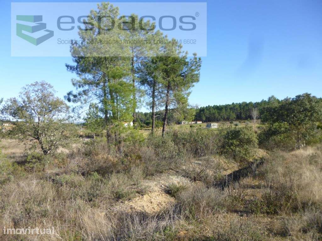 Quintinha Vale da Burra - Grande imagem: 4/5