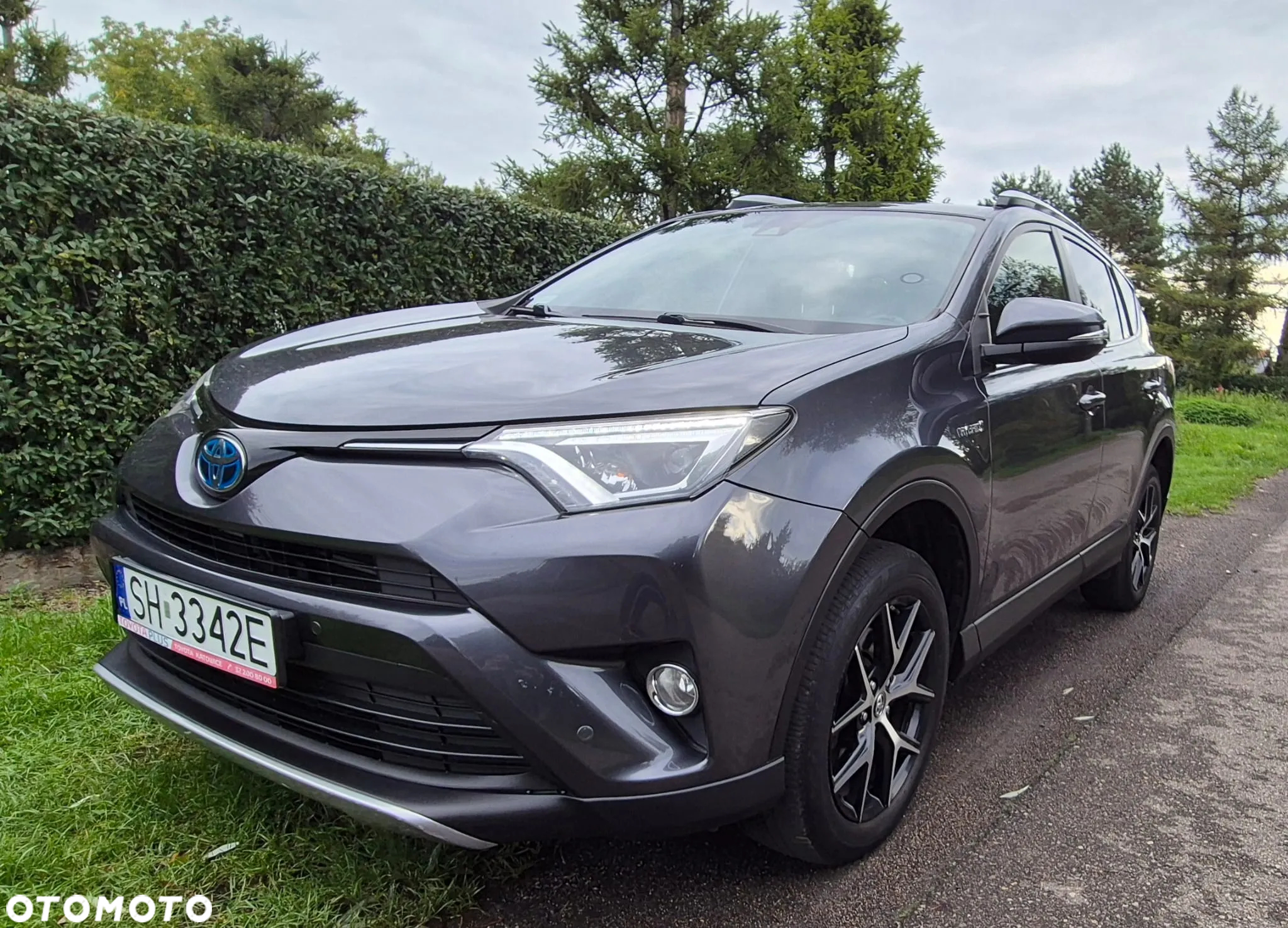 Toyota RAV4 Hybrid Platinum 4x2 - 6