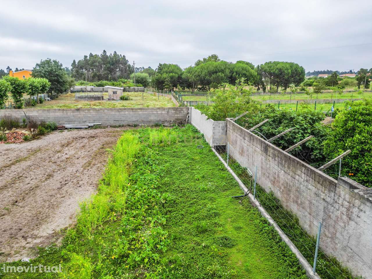Terreno Caniceira, Tocha - Grande imagem: 3/5