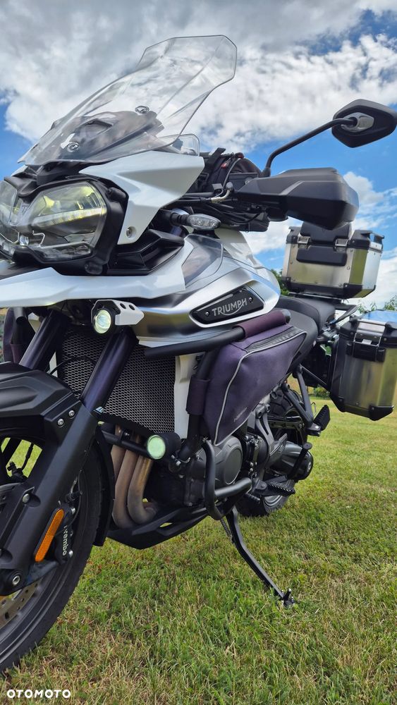Triumph Tiger - 17