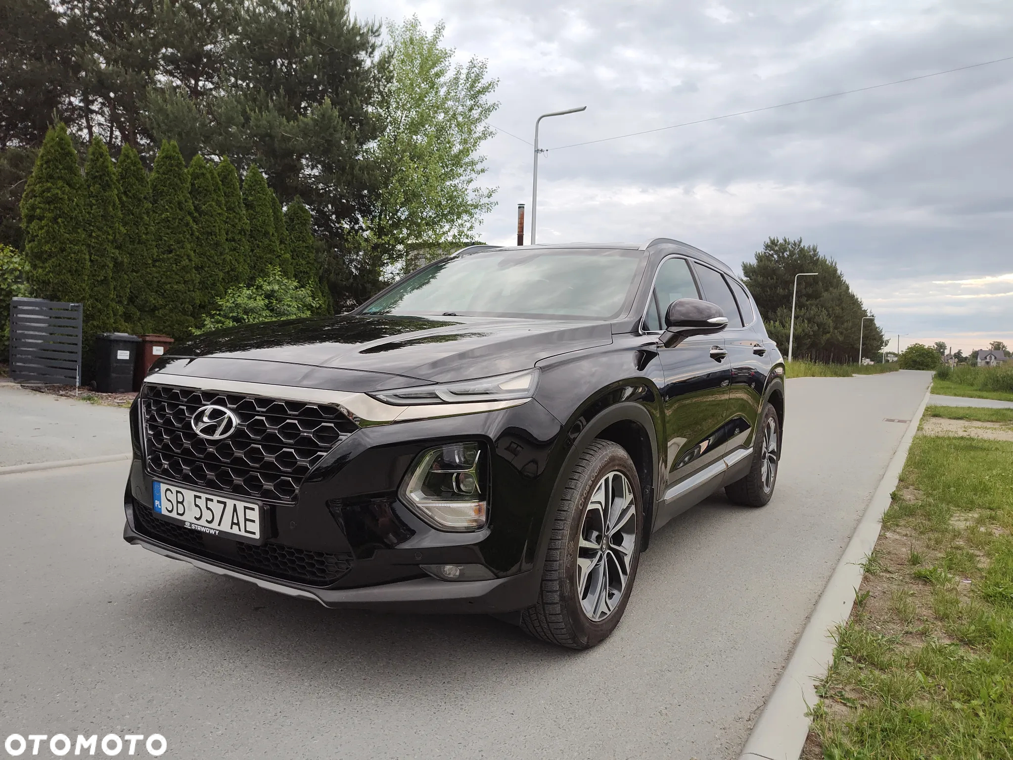 Hyundai Santa Fe 2.0 CRDi Platinum 4WD - 2