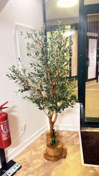 Sala para arrendar - Grande imagem: 2/10