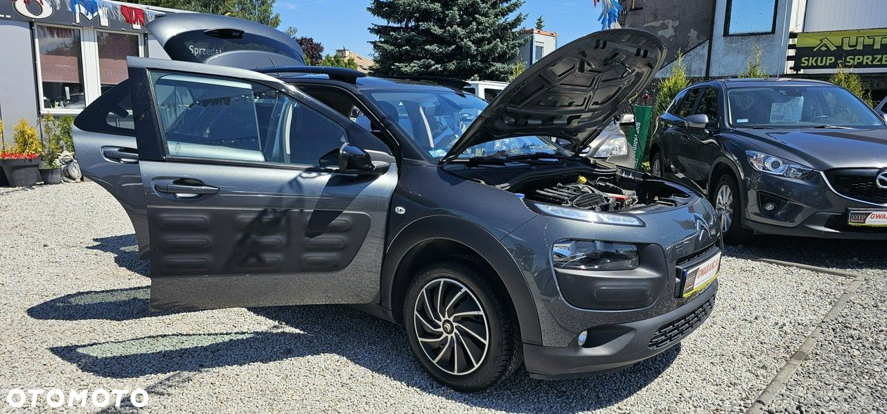 Citroën C4 Cactus - 13