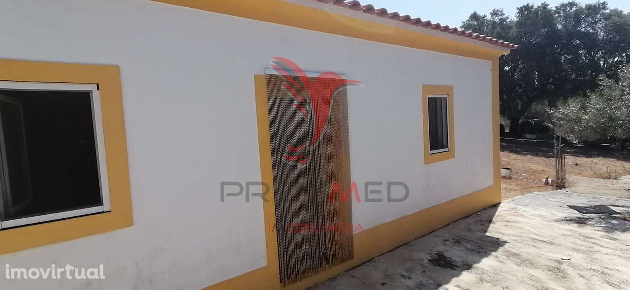 Quinta Agrícola na Urra - Portalegre - Grande imagem: 3/39