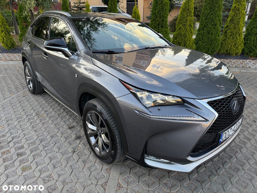 Lexus NX 300h F Sport Edition AWD - 3