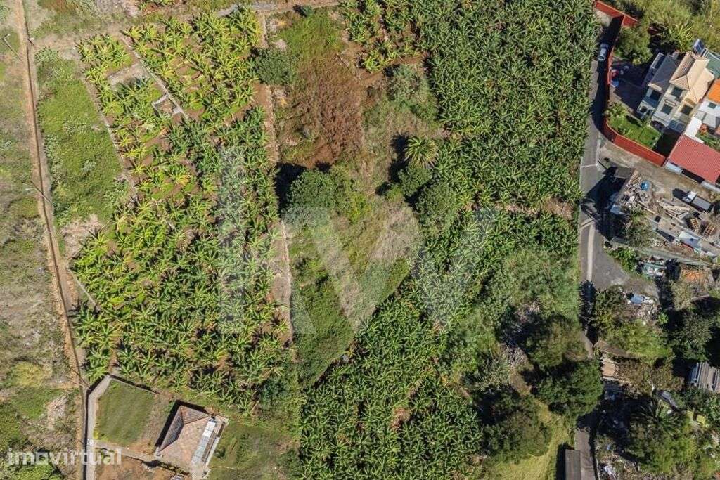Terreno Urbanizável - 831m2 - São Martinho | Funchal - Grande imagem: 3/22