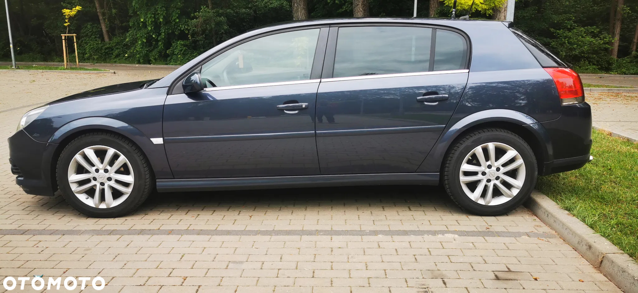 Opel Signum 1.9 CDTI Sport - 26
