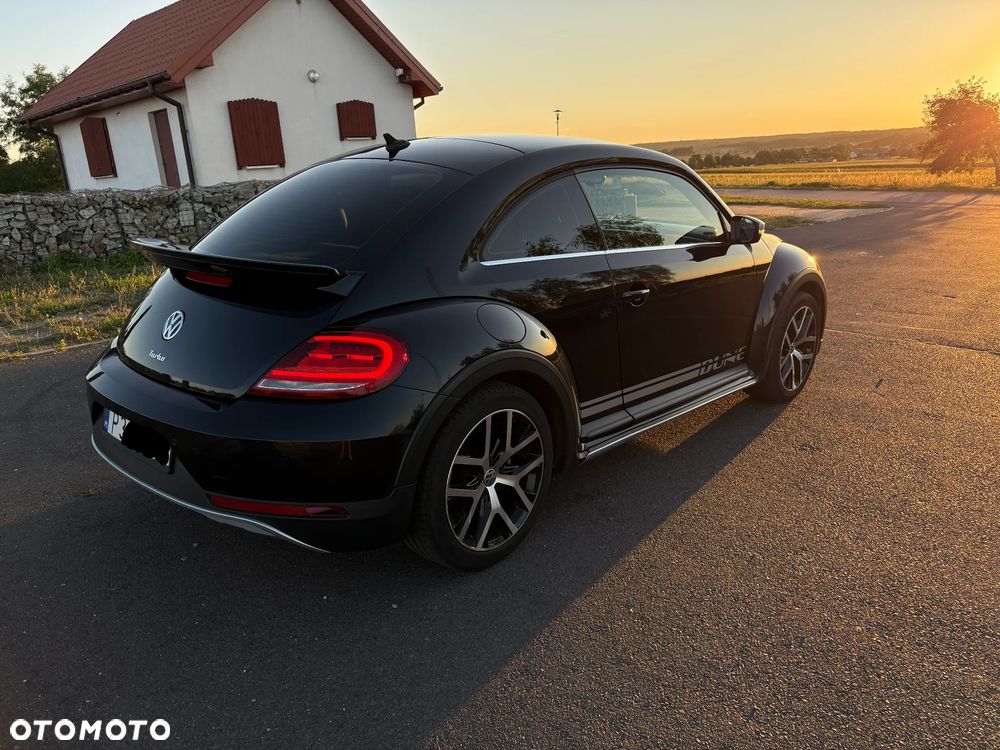 Volkswagen Beetle - 7
