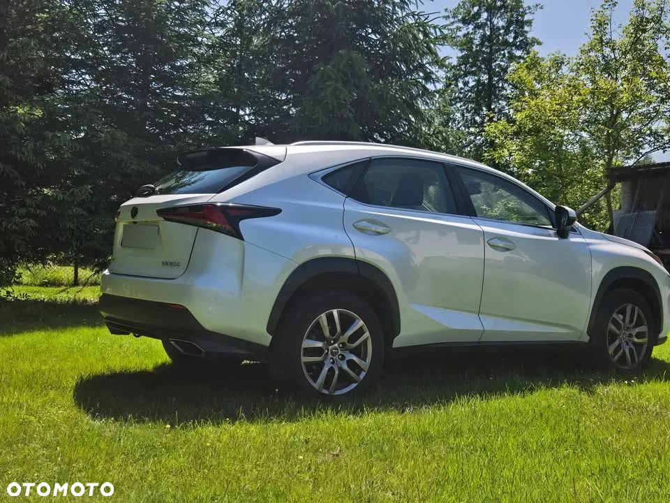 Lexus NX 300 Business Edition AWD - 3