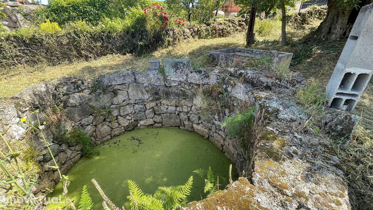 Terreno rústico | S. Miguel d'Acha, Idanha-a-Nova - Grande imagem: 2/18