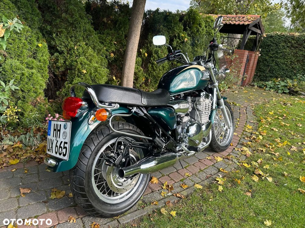 Triumph Thunderbird - 6