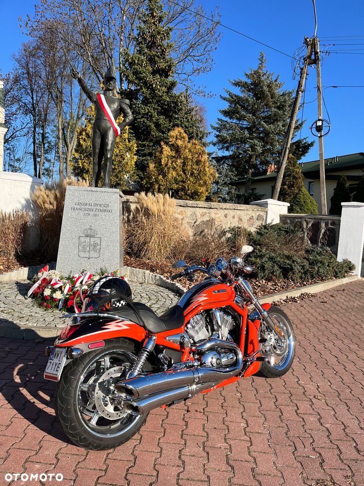 Harley-Davidson Softail V-Rod - 4