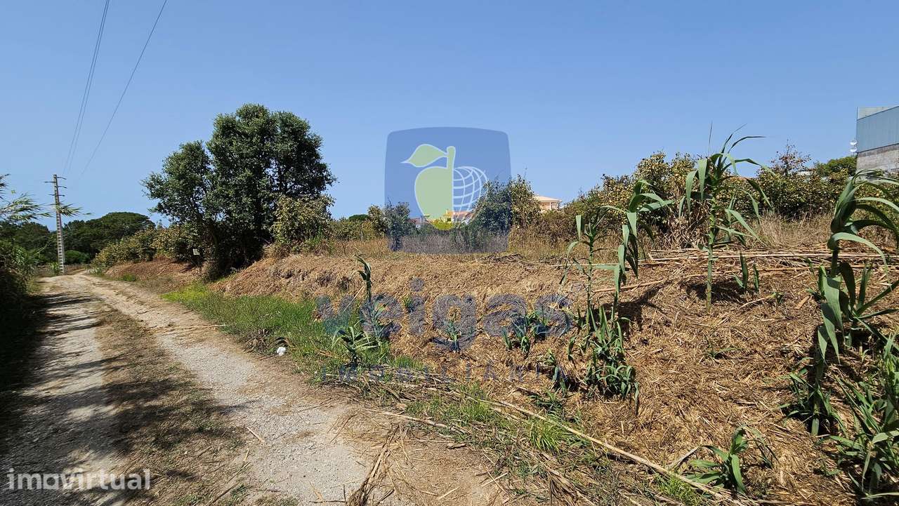 Terreno em Gaeiras, Óbidos - Grande imagem: 4/27