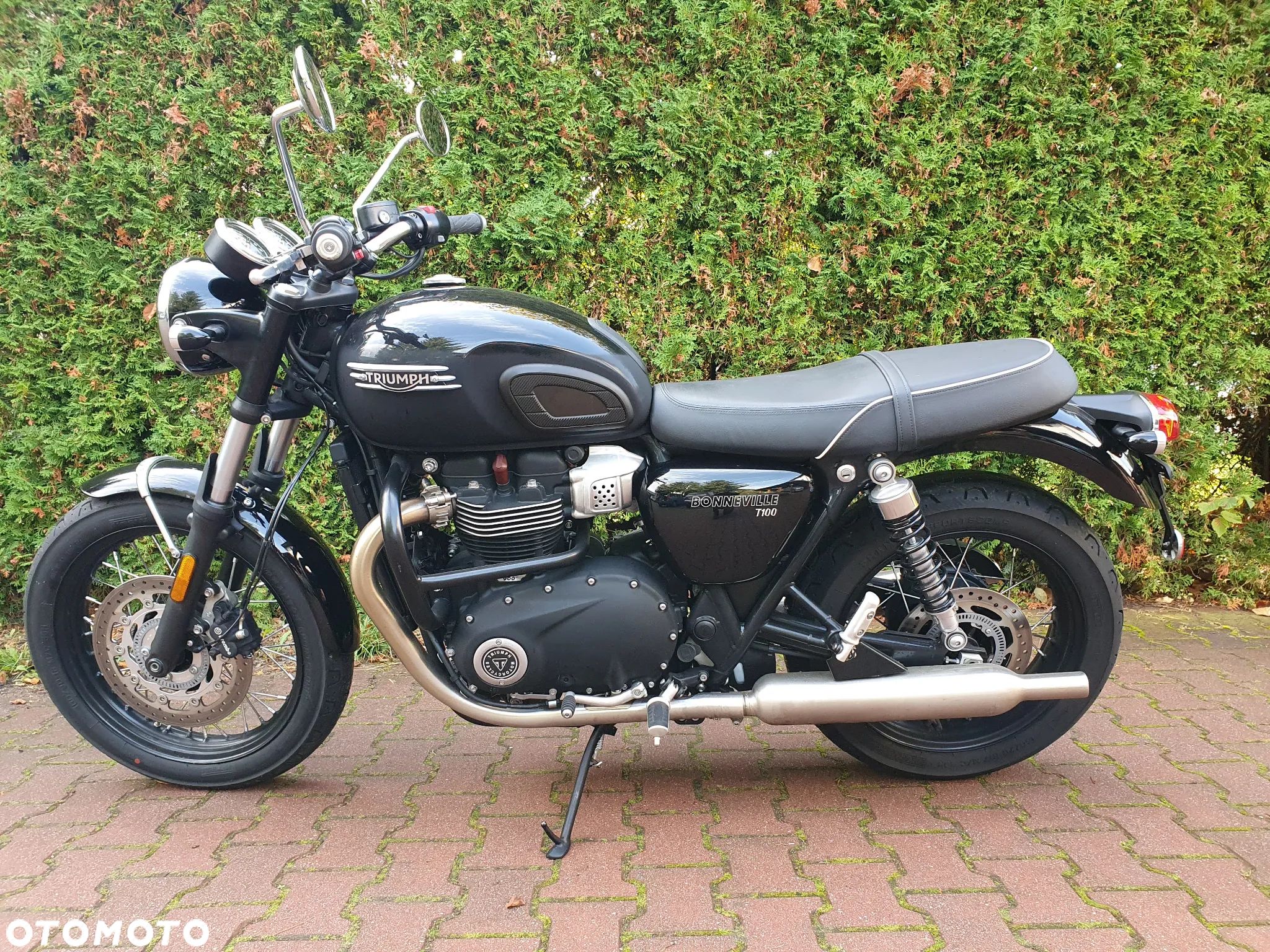 Triumph Bonneville - 1