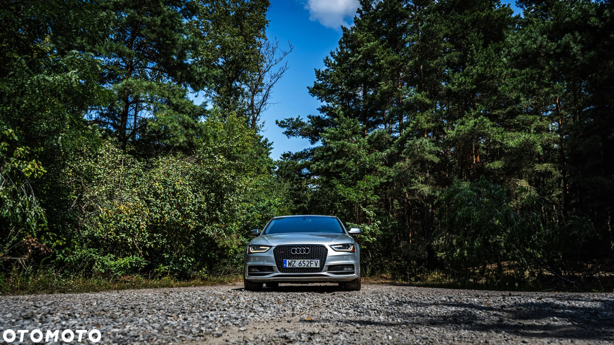 Audi S4 3.0 TFSI Quattro S tronic - 5