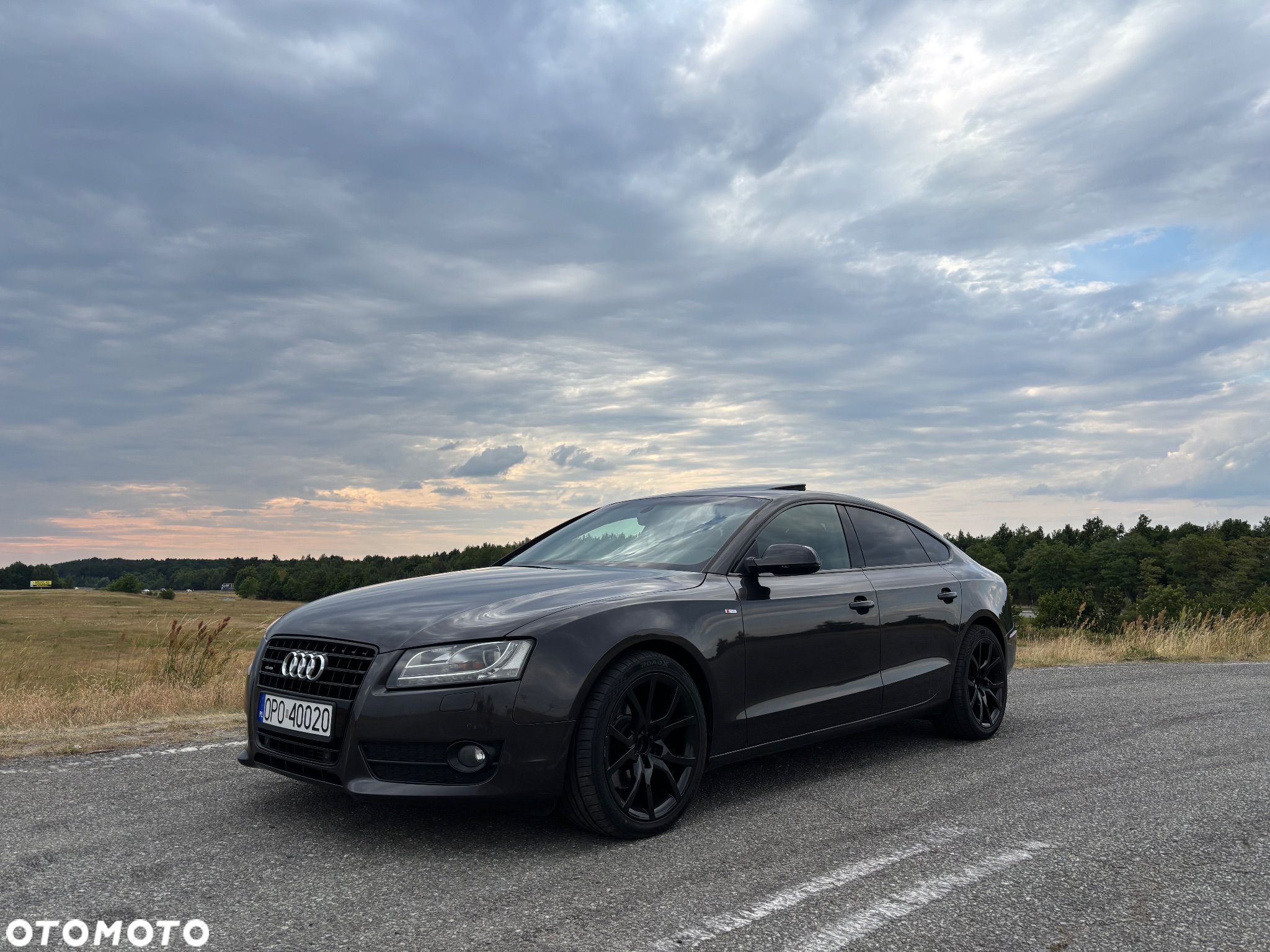 Audi A5 3.0 TDI Quattro S tronic - 1