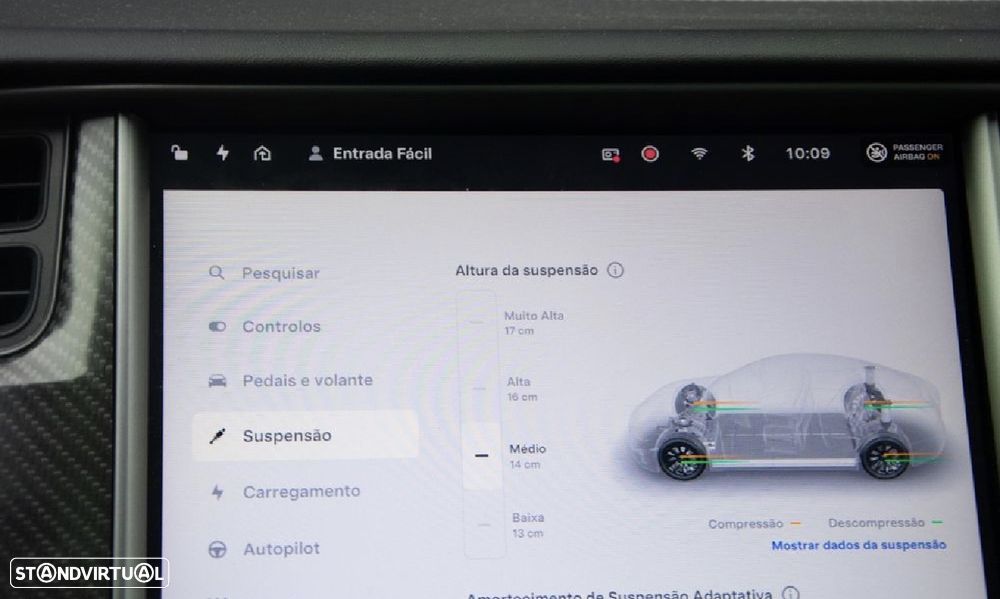 Tesla Model S Performance - 19