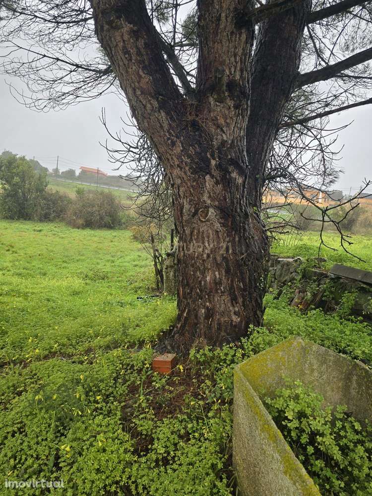 Prédio misto com um terreno rústico de 16.960 m² - Grande imagem: 5/10