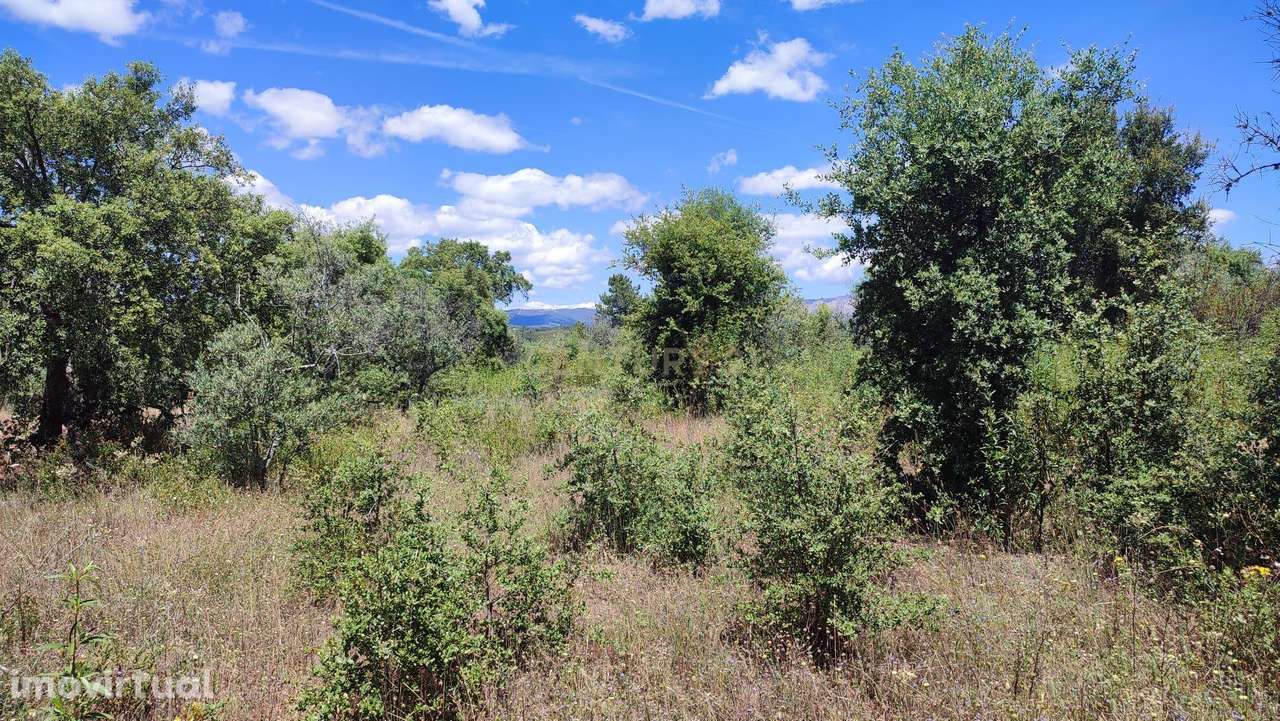 Terrenos Rústicos com 6250 m2, Ninho do Açor , Castelo Branco - Grande imagem: 4/10