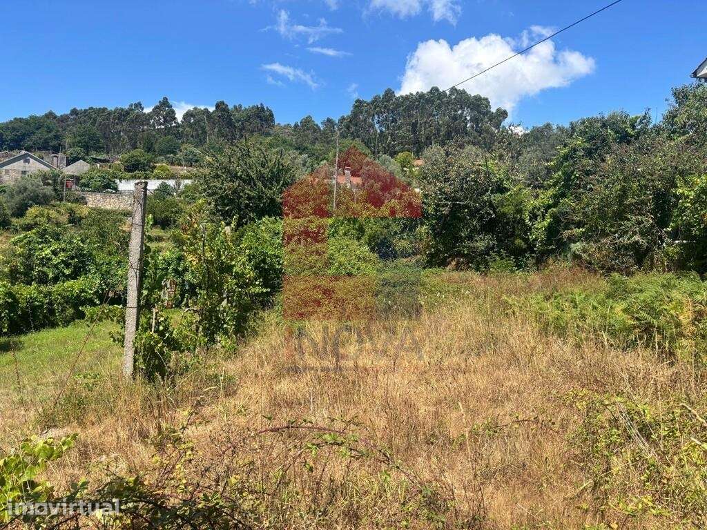 4 Terrenos Agrícolas, Duas Igrejas - Grande imagem: 3/18