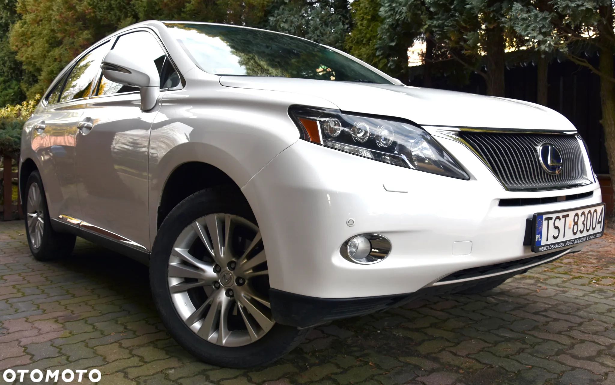 Lexus RX 200t / 300 Prestige - 1