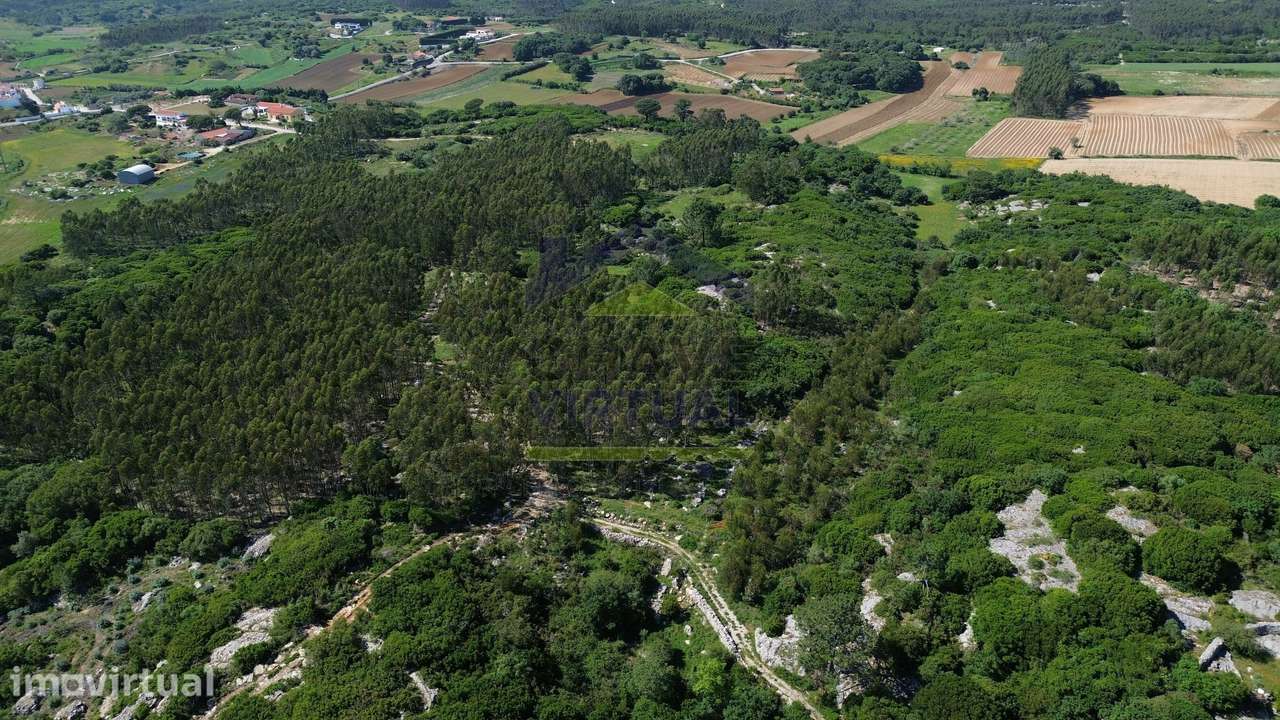Terreno Rústico c/ 16.520 m2 Reguengo Pequeno - Lourinhã - Grande imagem: 3/32
