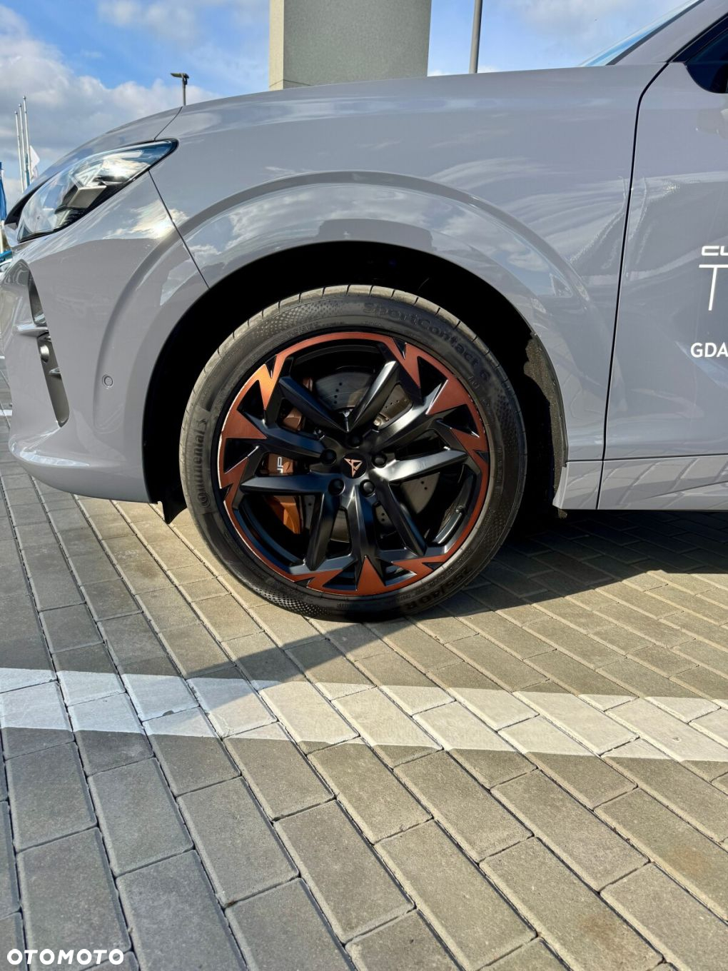 Cupra Terramar 2.0 TSI 4Drive VZ DSG - 30