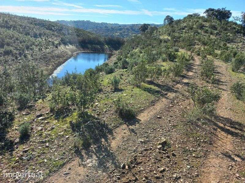 Excelente Propriedade em Almodôvar