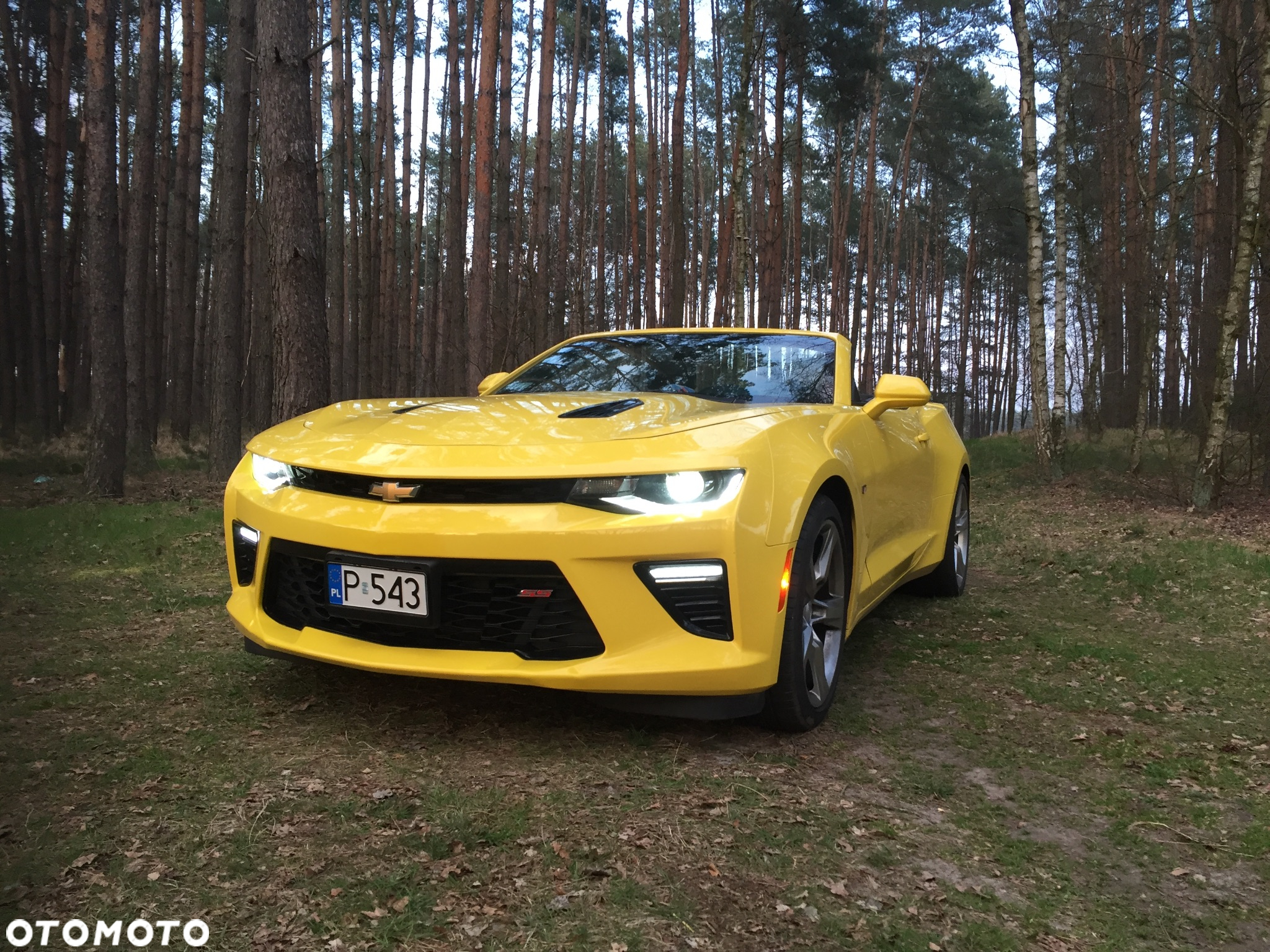 Chevrolet Camaro - 5