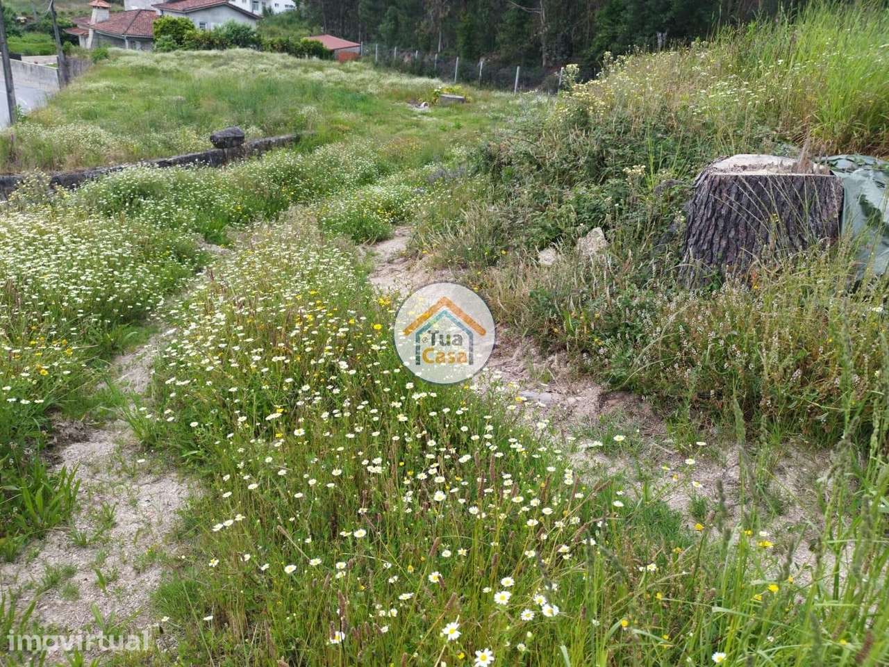 Terreno para construção - Grande imagem: 2/21