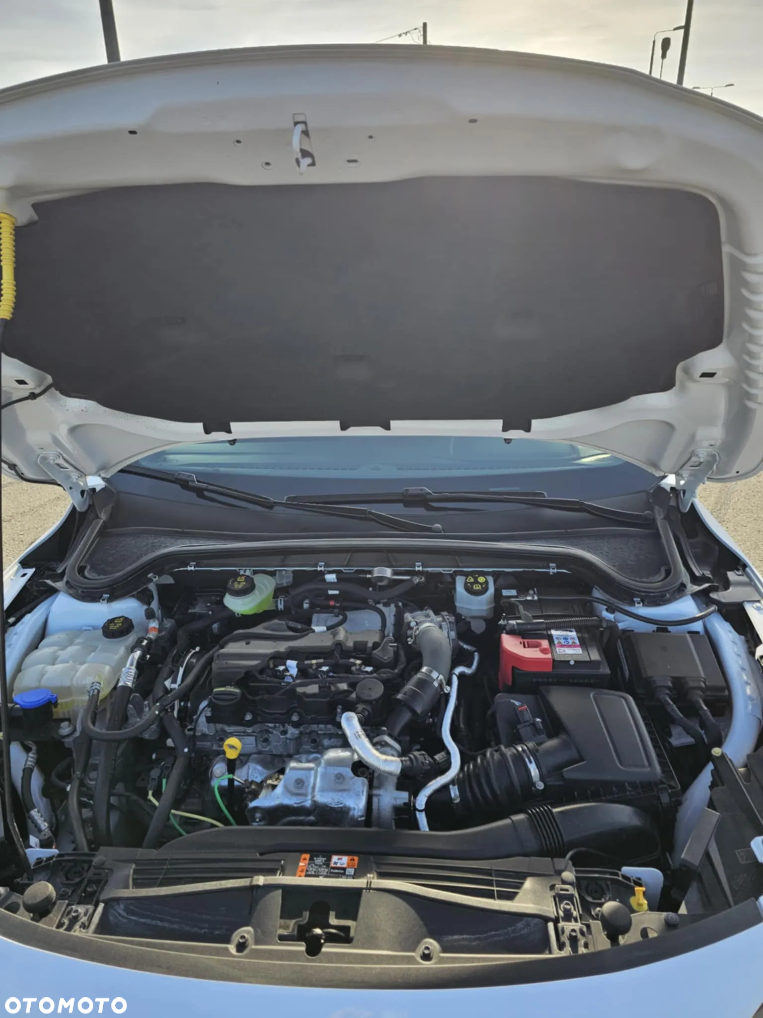 Ford Focus 1.5 EcoBlue ST-Line X - 23
