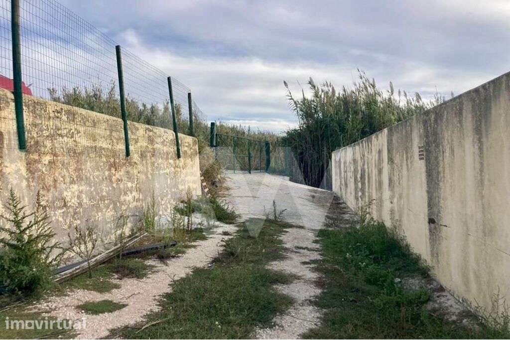 Terreno c/ 11.750 m2 de Pomar de Limões na Encarnação - Grande imagem: 2/15