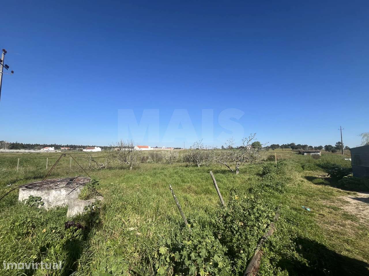 Terreno 12000 m2 em Foros da Charneca - Grande imagem: 3/9