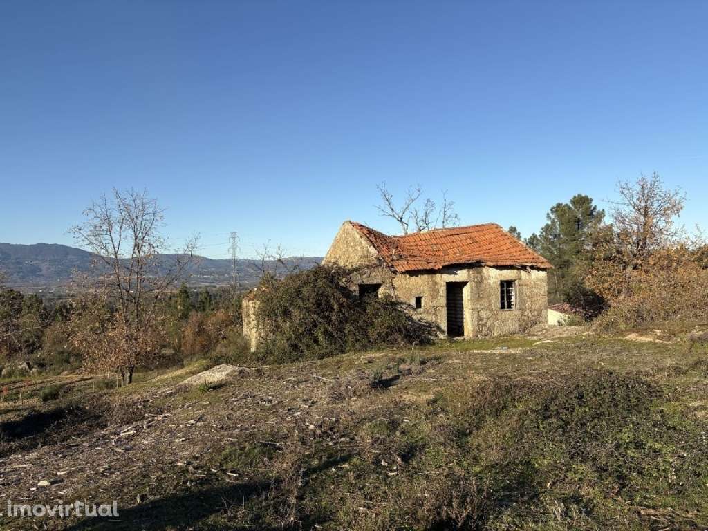 Quinta com casa em pedra para recuperar - Grande imagem: 2/20
