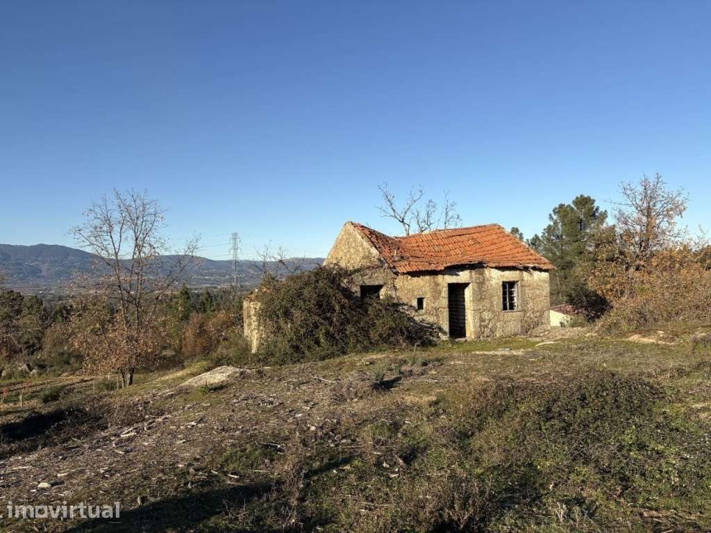 Quinta com casa em pedra para recuperar - Grande imagem: 2/20