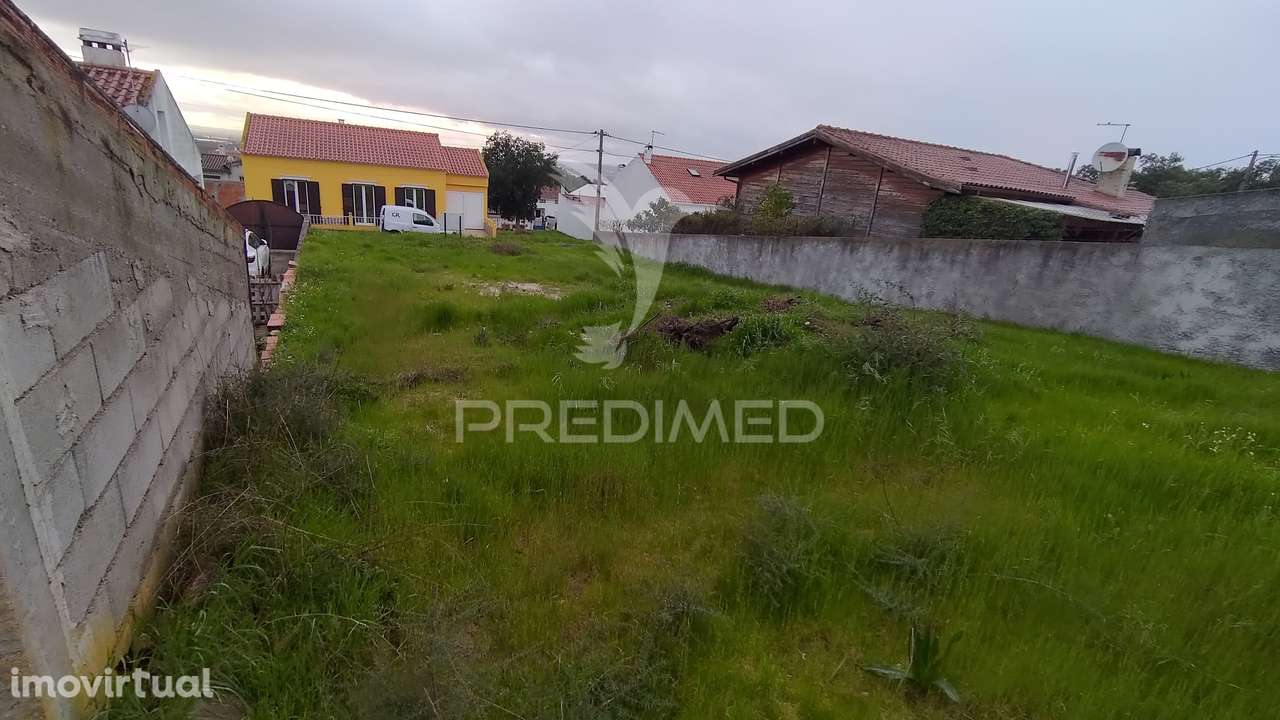 Terreno Urbano 317 m2 - Carregueira - Chamusca - Grande imagem: 5/7