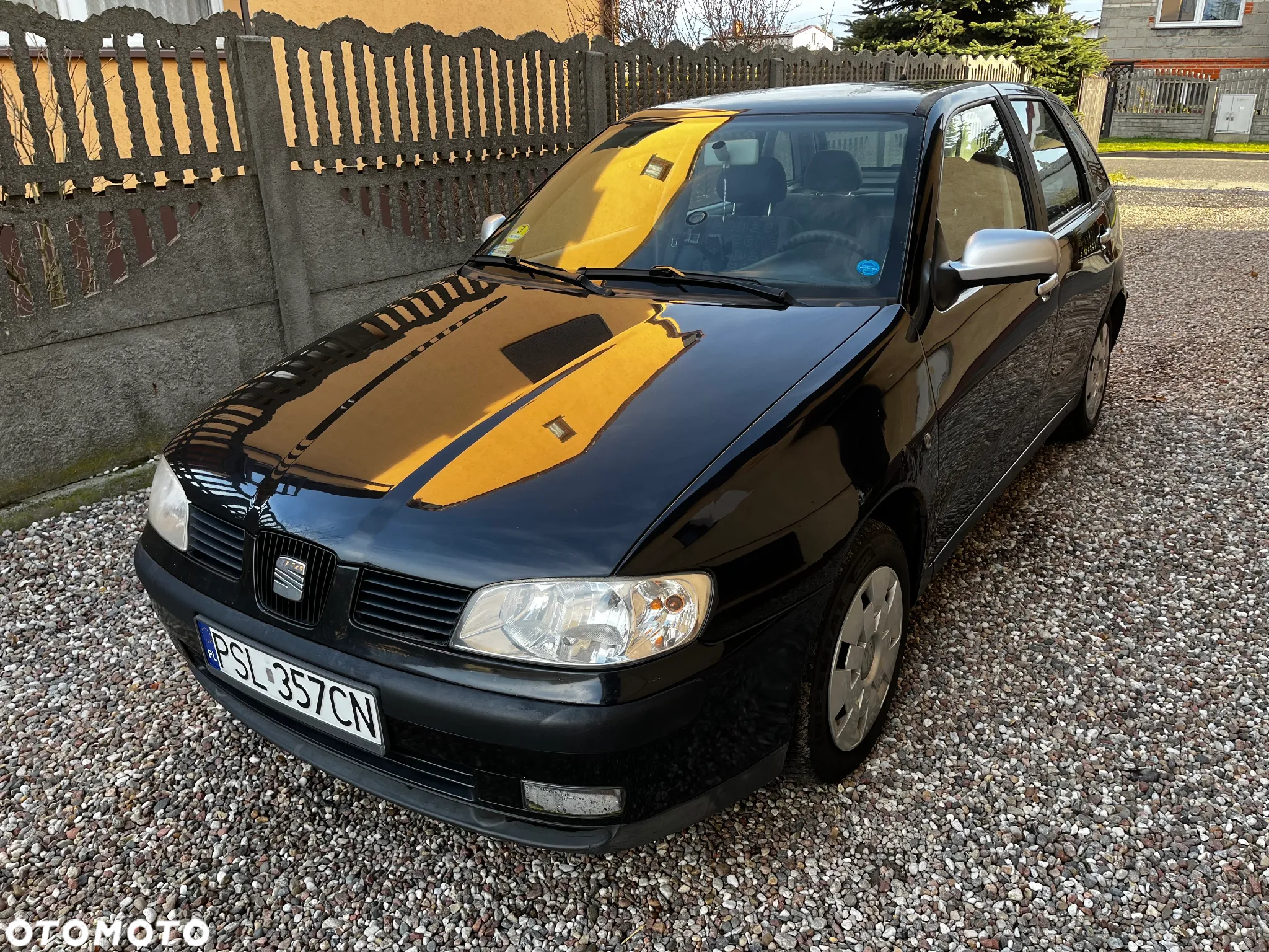 Seat Ibiza - 4
