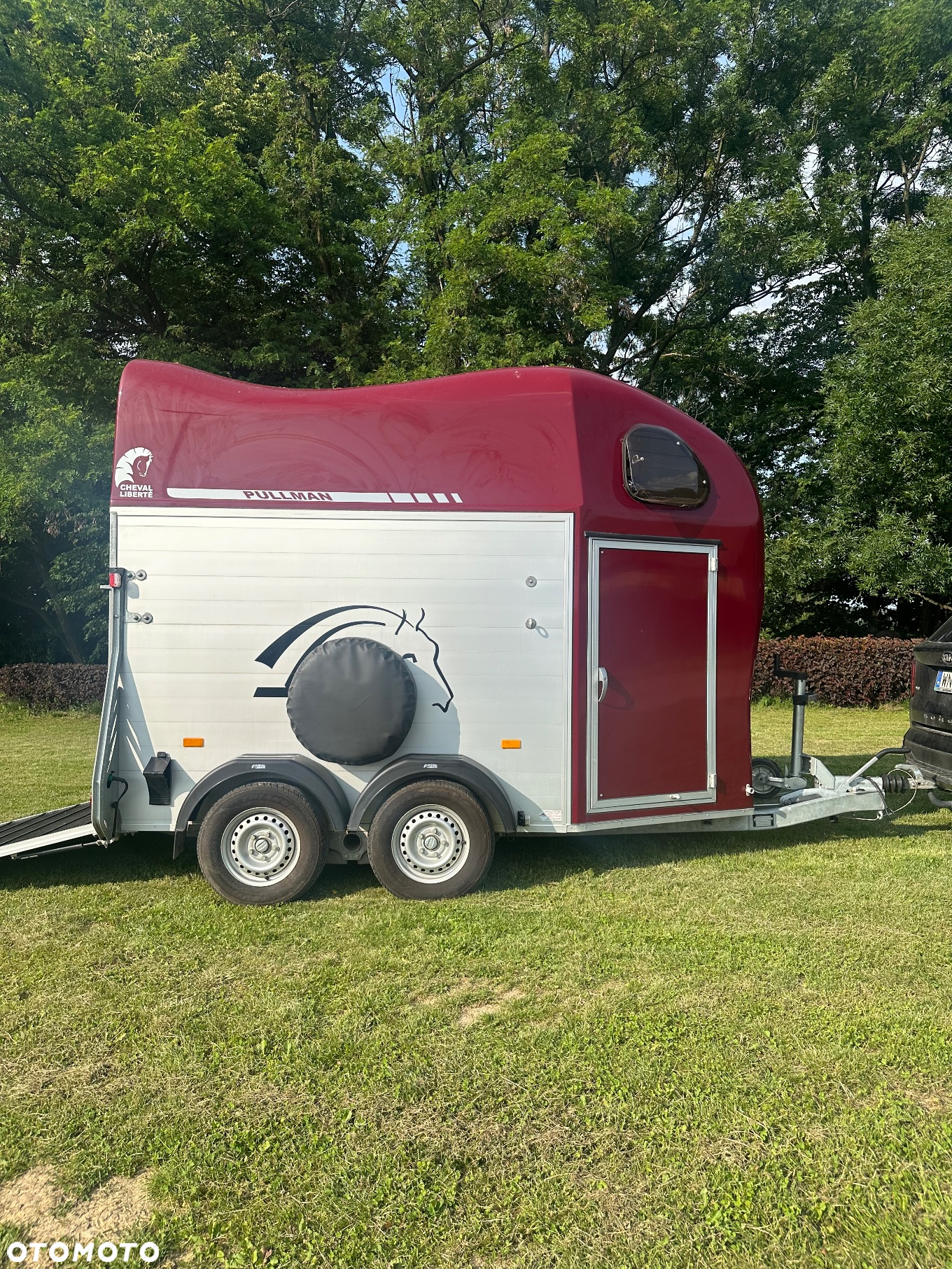 Cheval Liberte Gold Pulman V2 - 5