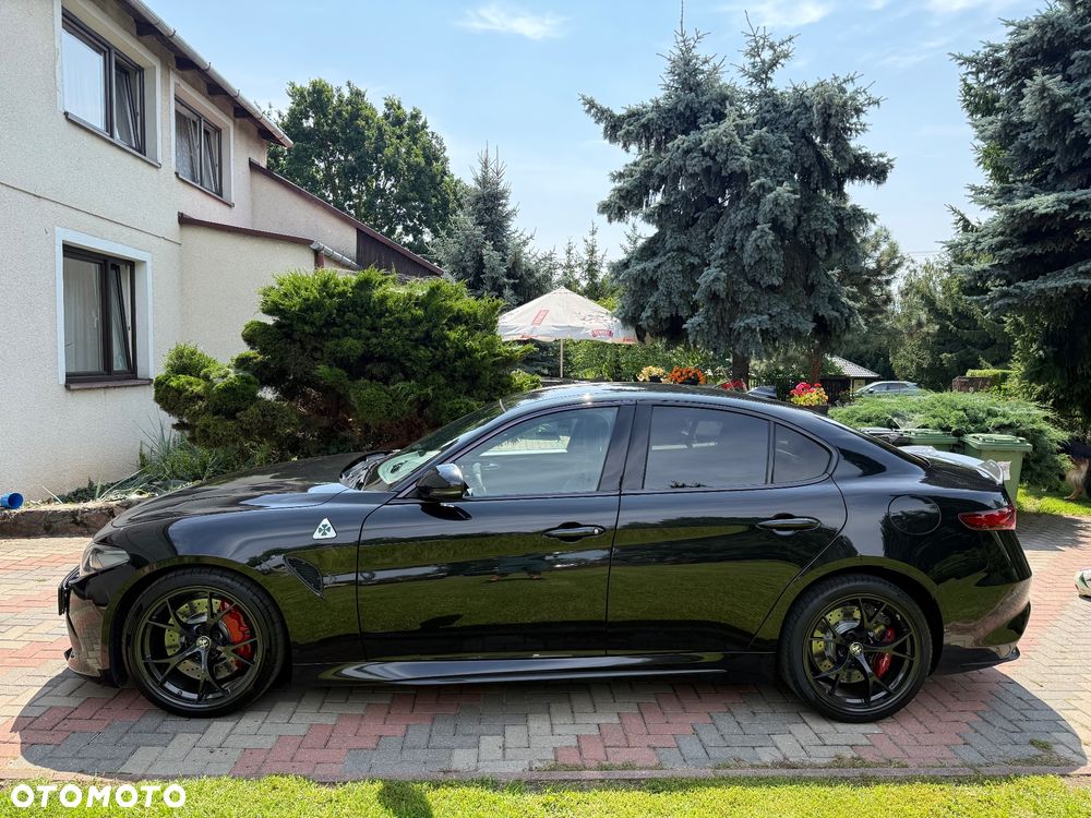 Alfa Romeo Giulia 2.9 Bi Turbo V6 Quadrifoglio - 5