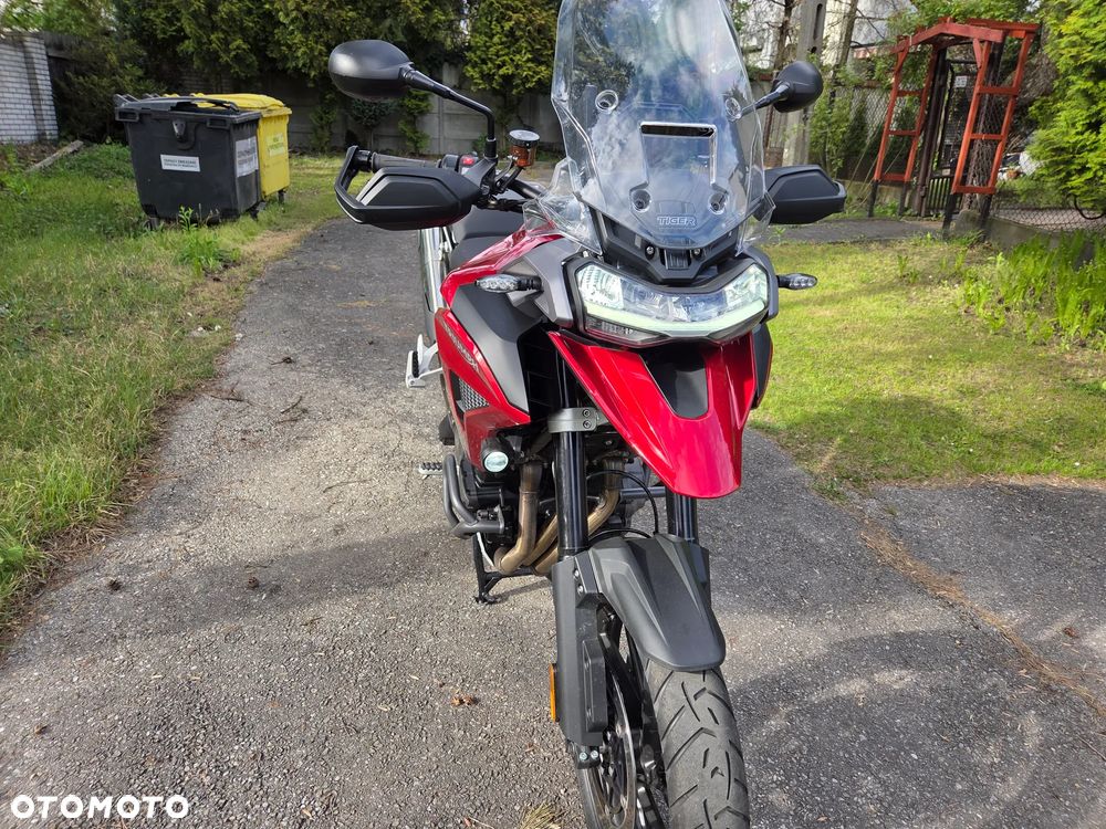 Triumph Tiger - 11