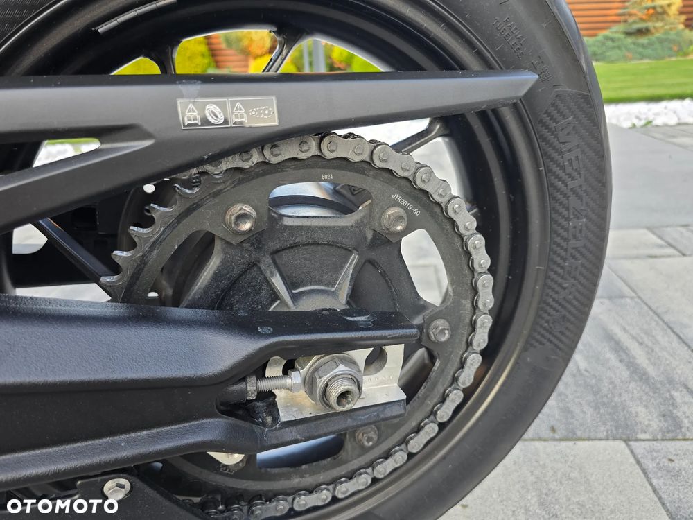 Triumph Tiger - 14